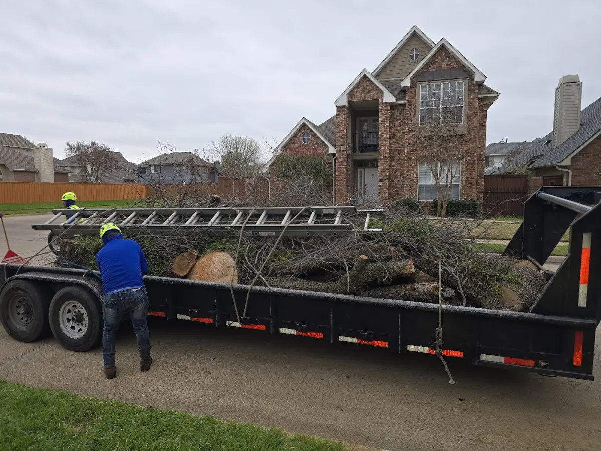 Expert Tree Fertilization with proper safety equipment in Gary